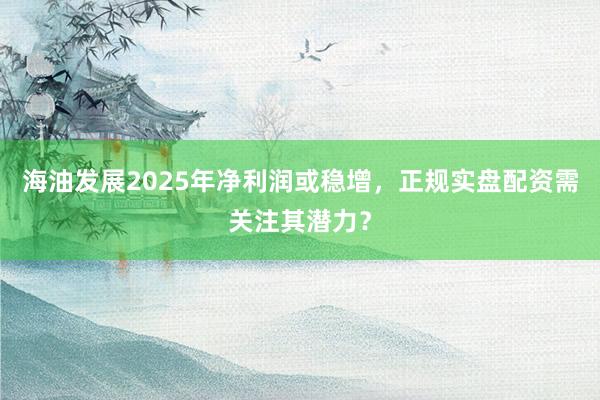 海油发展2025年净利润或稳增，正规实盘配资需关注其潜力？