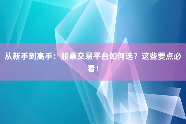 从新手到高手：股票交易平台如何选？这些要点必看！