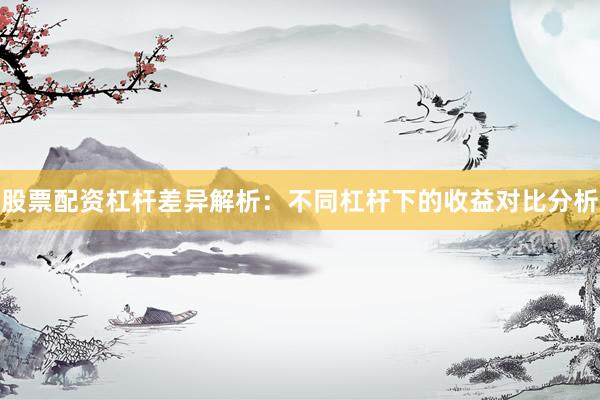 股票配资杠杆差异解析：不同杠杆下的收益对比分析